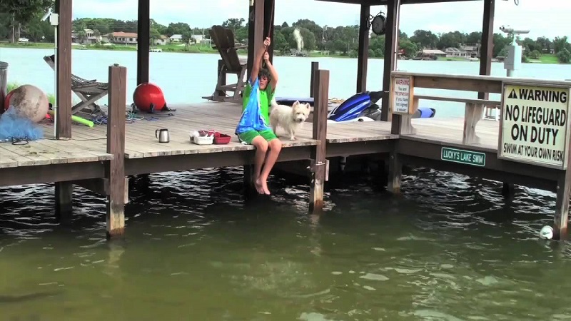 Piranalarla Güvenli Bir Şekilde Nasıl Yüzülür